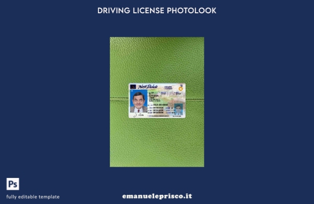 stile verificato USA North Dakota DL presente modello photolook FRONT